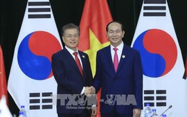 APEC 2017: State President Tran Dai Quang meets with RoK President